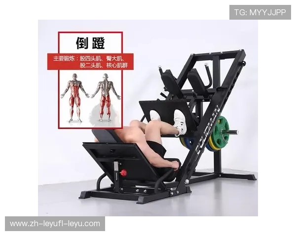 圆机健身器材解析:家用与商用功能与适配性详解